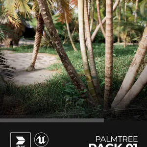 Cover image for Online course Pack - Palm Tree 01 [Cademi]