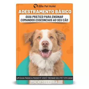 Imagem do curso Adestramento Básico: Guia Prático para Ensinar Comandos Essenciais ao seu Cão