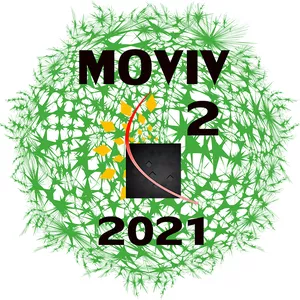 Imagem de capa para o Curso online MOVIMENTO VIVO PLANO VERDE - 4 MESES - AGO/SET/OUT/NOV 2021