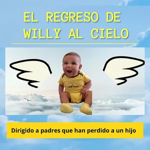 Imagen de portada para Ebook El regreso de Willy al cielo