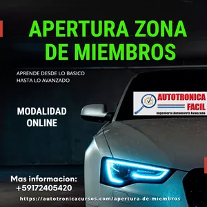 Imagen de portada para Curso online ZONA DE MIEMBROS AUTOTRONICA FACIL