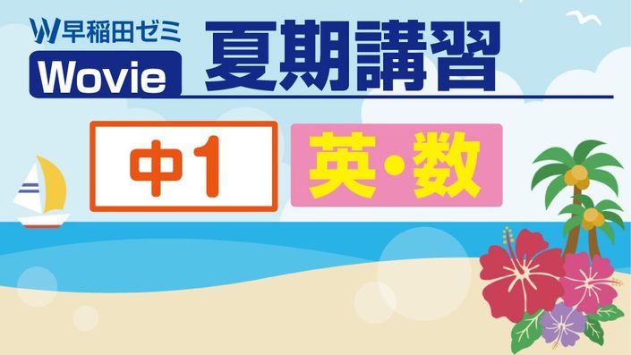 早稲田実業初等部　夏期講習　夏期志望校ゼミ12回フルセット　理英会　設問解答付き 早稲田実業初等部 夏期講習 夏期志望校ゼミ12回フルセット 理英