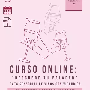 Imagen de portada para Curso online Curso Online: Descubre tu Paladar Cata Sensorial de Vinos con VidCúbica
