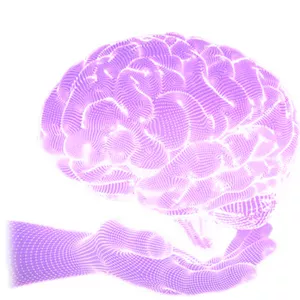 Imagem de capa para o Curso online SNA120 - Integração Bioemocional