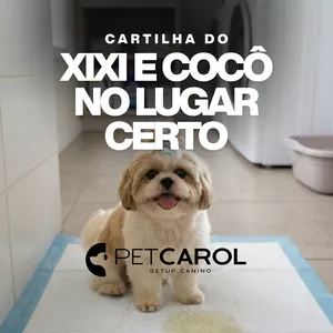 Imagem do curso Cartilha do Xixi e Cocô no Lugar Certo