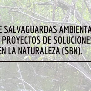 Imagen de portada para Curso online Cumplimiento de Salvaguardas Ambientales y Sociales en Proyectos de Soluciones basados en la Naturaleza (SbN).