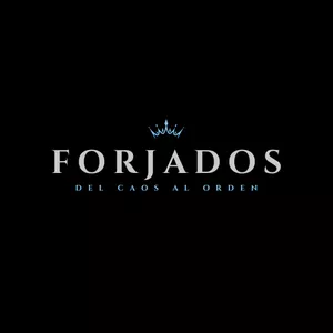 Imagen de portada para Curso online FORJADOS