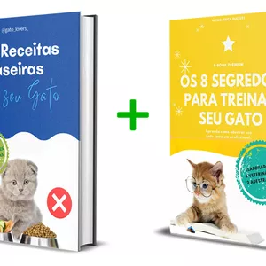 Imagem principal do produto 100 Receitas Caseiras e Saudáveis para Gatos + Os 8 Segredos para Adestrar seu Gato