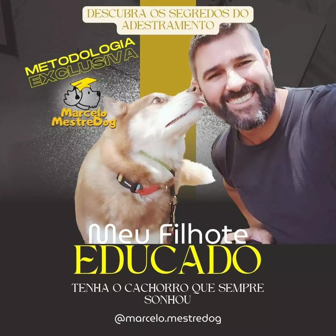 meu filhote educado