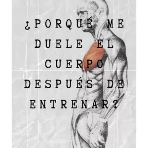 Imagen de portada para Ebook ¿Porqué me duele el cuerpo después de entrenar?