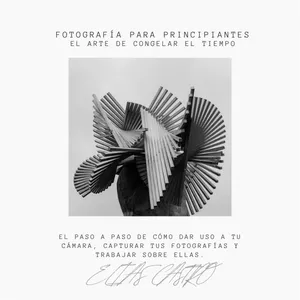 Imagen de portada para Ebook FOTOGRAFÍA PARA PRINCIPIANTES: El Arte de Congelar el Tiempo