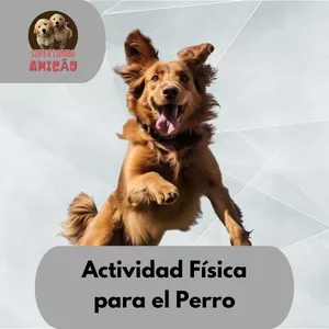 Imagen de portada para Ebook Actividad Física para el Perro