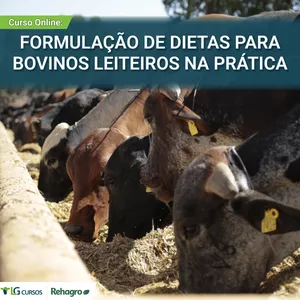 Imagem de capa para o Curso online Curso on-line: Formulação de Dietas para Bovinos Leiteiros na Prática - 2022.2