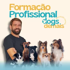 Imagem de capa para o Curso online Formação Profissional Dogs Demais