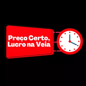 Imagem de capa para o Ebook Preço Certo, Lucro na Veia