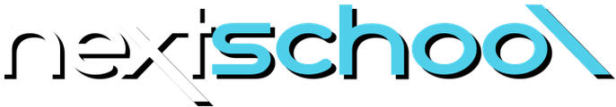 Next School logo