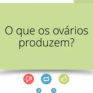 Imagem de capa para o Curso online Flash Cards SOI II