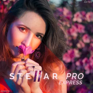 Imagem de capa para o Curso online Tratamento de imagens Stellar Pro Express - O poder da rapidez
