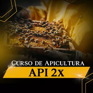 Imagen de portada para Curso online CURSO API 2X