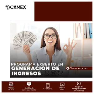 Imagen de portada para Curso online Programa Experto en Generación de Ingresos