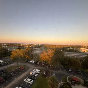 Cover image for Online course The sky as a Miami day 