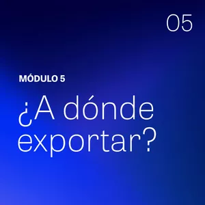 Imagen de portada para Curso online Módulo 5: ¿A dónde exportar?
