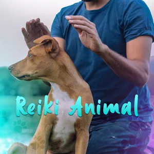 Imagem de capa para o Curso online Curso Reiki Animal