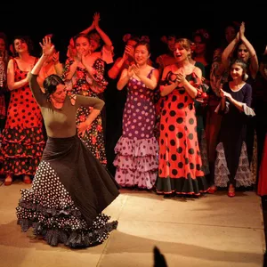 Imagen de portada para Curso online Espacio Creativo de Flamenco Online