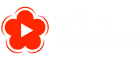 Kung Fu On Demand