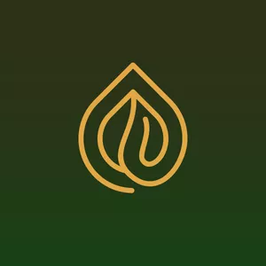 Imagem de capa para o Curso online O Essencial da Ingestão