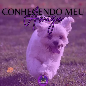Imagem de capa para o Ebook Conhecendo Meu Amigo