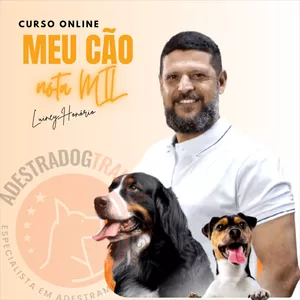 Imagem do curso Meu Cão Nota Mil