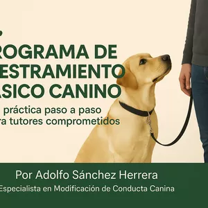 Imagen de portada para Ebook Programa de Adiestramiento Básico Canino – Guía Práctica para un Perro Obediente y Feliz”