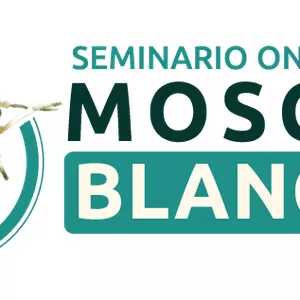 Imagen de portada para Curso online (MIM3) Seminario Manejo de moscas blancas
