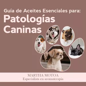 Imagen de portada para Ebook Guía de Patologías Caninas: Protocolos Seguros de Aromaterapia con Aceites Esenciales