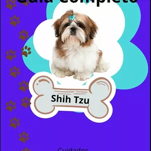 Imagem de capa para o Ebook Guia Completo de Cuidados com o Shih Tzu