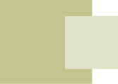 Sage Mentors - Mentor, Career & Leadership Development logo