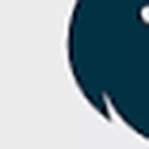 Imagem de capa para o Curso online Sua logo personele