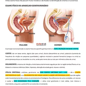 Imagem de capa para o Ebook SEMIOLOGIA DESCOMPLICADA (SEMIO II): sistema urinário, genital e endócrino 