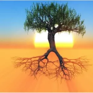 Imagem de capa para o Curso online Programa Avançado Terapêutico (RDP) - Raiz do Problema