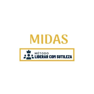 Imagem de capa para o Curso online MLS-MÉTODO LIDERAR COM SUTILEZA