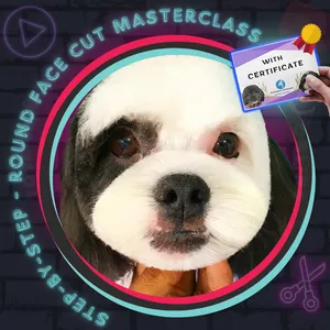 Cover image for Online course The Round Face Cut Masterclass