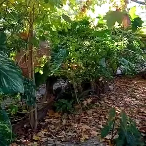 Imagen de portada para Ebook "Yo estaba aquí, y tú: ¿dónde estabas?