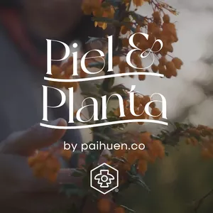 Imagen de portada para Curso online Piel &amp; Planta