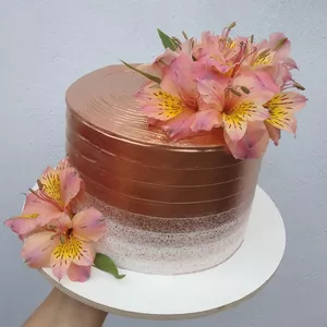 Imagem de capa para o Ebook Chantinho para iniciantes