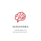 Living Well Co: Female Brain Longevity School