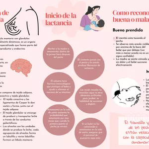 Imagen de portada para Ebook Folleto Lactancia Materna