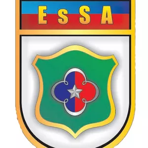 Imagem de capa para o Ebook Apostila ESA 2020 - Curso de Formação de Sargentos