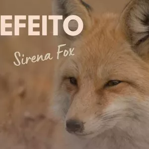 Imagem de capa para o Ebook Efeito Sirena Fox