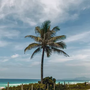 Imagem de capa para o Curso online PACOTE BEACH - Presets Lightroom